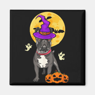 Aimant Costume de sorcière d'Halloween pour chien bouledo