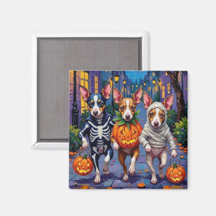 Aimant Costumes d'Halloween de Rat Terrier