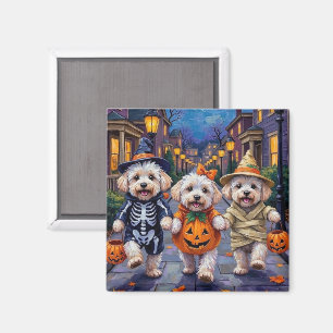 Aimant Costumes d'Halloween pour Bichon Frise allant cher