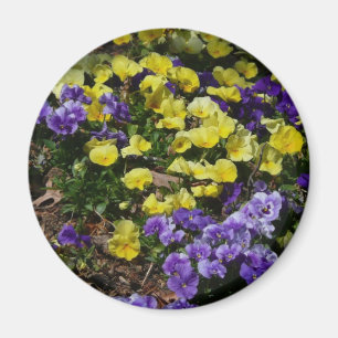 Aimant Coteau de panneaux violets et jaunes