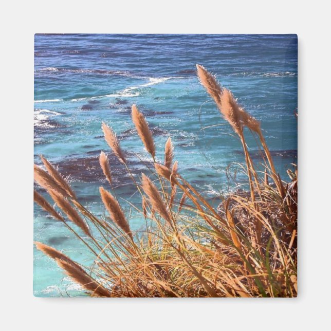 Aimant côtier californien (Devant)