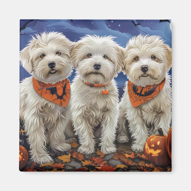 Aimant Coton De Tulear Halloween Éffrayant (Devant)