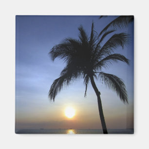Aimant coucher de soleil
