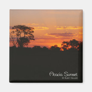 Aimant Coucher de soleil Acacia