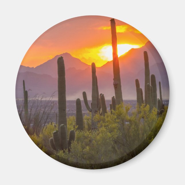 Aimant Coucher de soleil de cactus du désert, Arizona (Devant)
