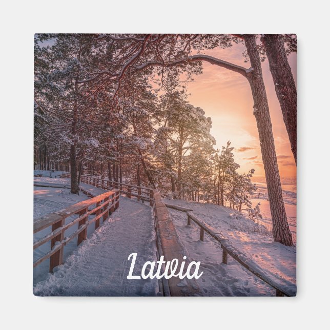 Aimant Coucher de soleil d'hiver dans la pinède près de l (Devant)