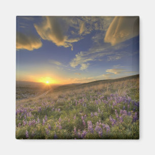 Aimant Coucher de soleil sur les montagnes Bitterroot et