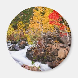 Aimant Couleur d'automne le long de Bishop Creek, CA