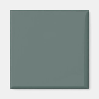 Aimant Couleur Uni Vert Neutre Froid 2026 COTY