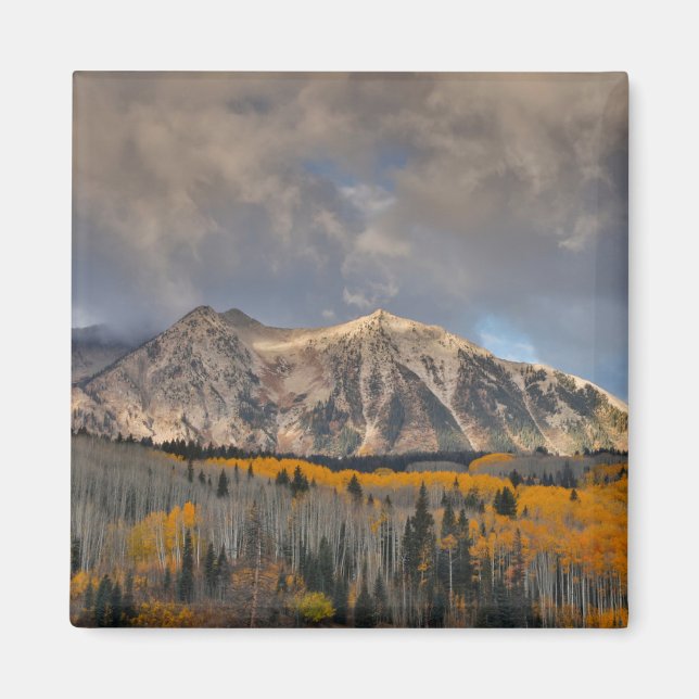 Aimant Couleurs automnales d'Aspens, col Keebler (Devant)