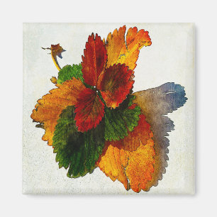 Aimant Couleurs colorées des feuilles d'automne