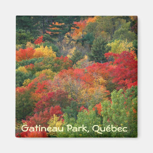 Aimant Couleurs d'automne dans le parc de la Gatineau