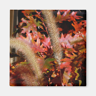 Aimant Couleurs de l'automne