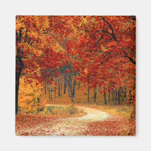 Aimant Couleurs saisonnières de l'automne