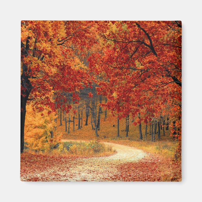 Aimant Couleurs saisonnières de l'automne (Devant)