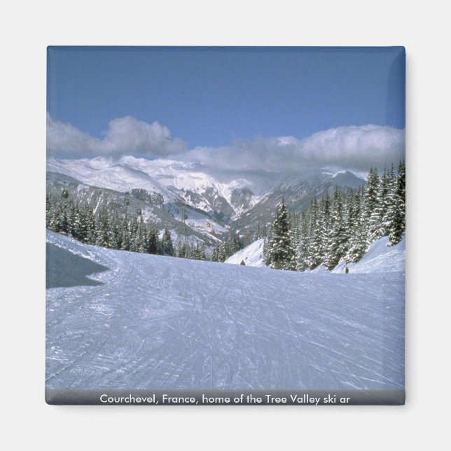 Aimant Courchevel, France, domicile de l'Arbre Valley (Devant)