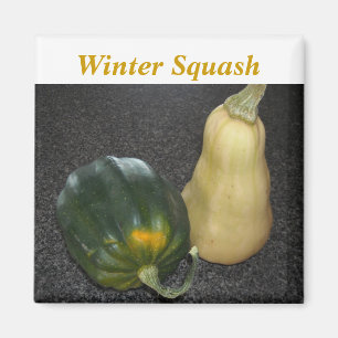 Aimant Courge d'hiver - Acorn et Butternut