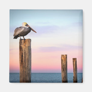 Aimant Courriers et une plage du pélican Fort Myers, la