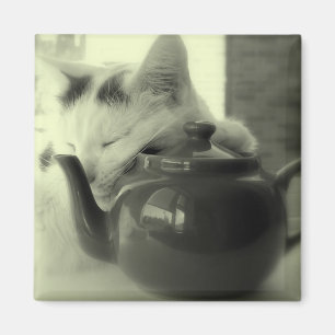 Aimant Coussin de théière