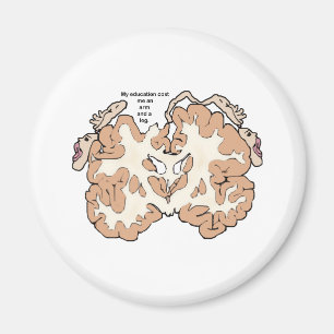 Aimant Coût d'un bras et d'une jambe homunculus