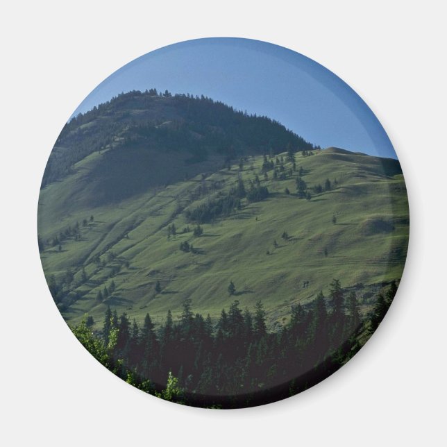 Aimant Couvercles Grassy (Devant)