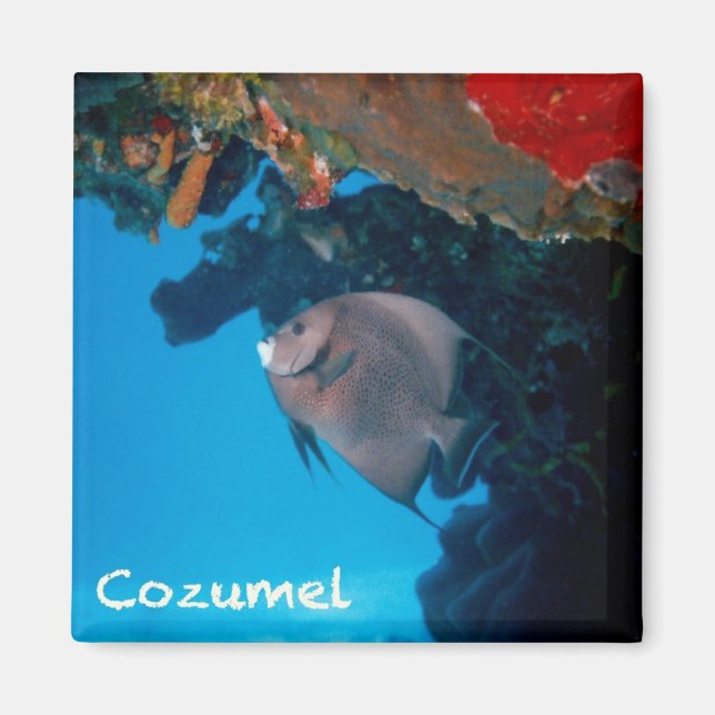 Aimant Cozumel Ange (Devant)