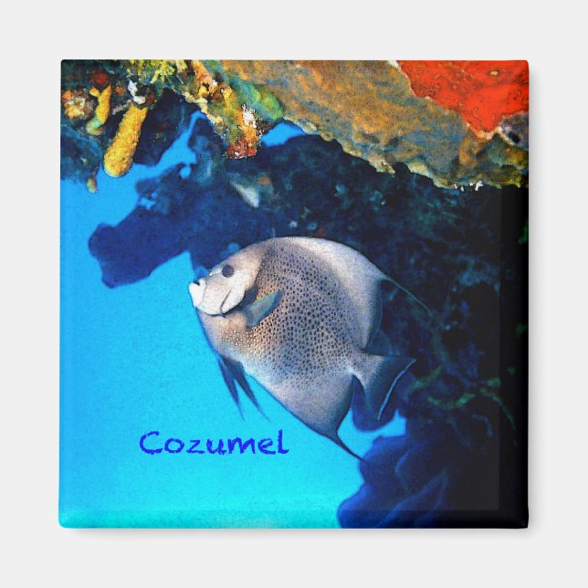 Aimant Cozumel Ange (Devant)