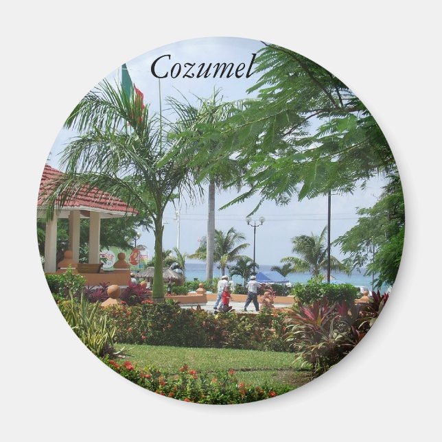 Aimant Cozumel Tropical Palm Tree (Devant)