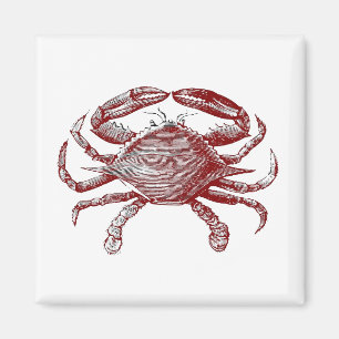 Aimant Crabby Rouge crayon rouge Crabe de l'océan Art