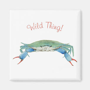 Aimant Crabe