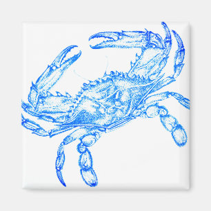 Aimant crabe bleu vintage