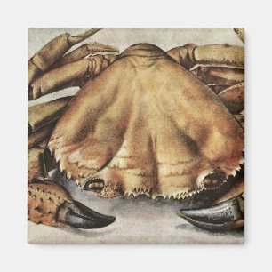 Aimant Crabe (Créature sous la mer) (par Albrecht Durer)