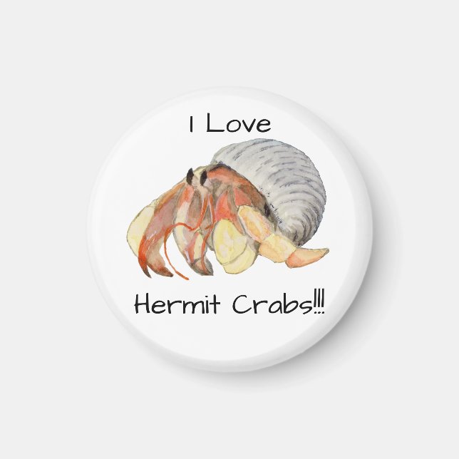 Aimant Crabe hermite (Devant)