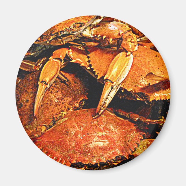 Aimant Crabes durs du Maryland à vapeur (Devant)