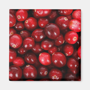 Aimant Cranberries