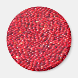 Aimant Cranberries Festive Rouge