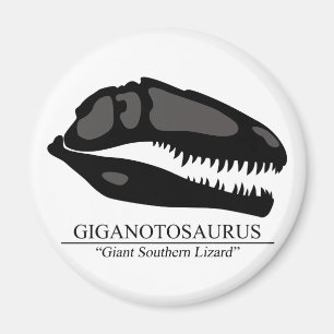 Aimant Crâne de Giganotosaurus