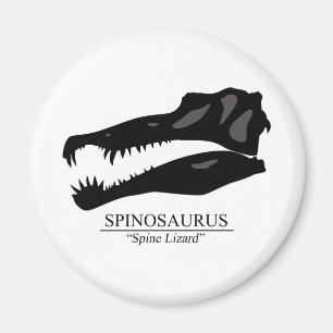 Aimant Crâne de spinosaurus
