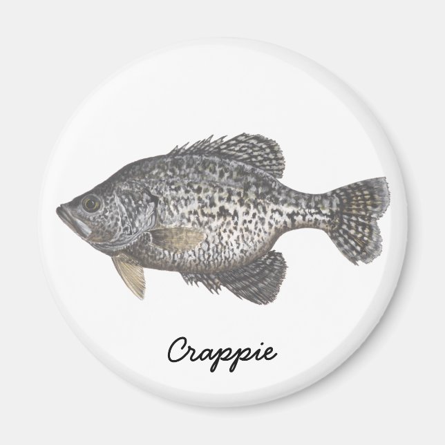 Aimant CRAPPIE, Crappie (Devant)