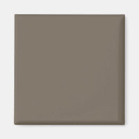 Créer un espace de vie élégant avec un mur Brown e