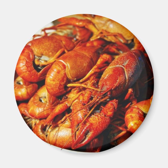 Aimant Crevettes de langouste (Devant)