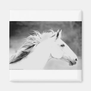 Aimant Crinière de LIN26BW dans le Wind.tif