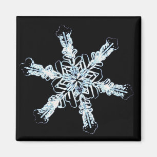 Aimant cristal de neige stellaire