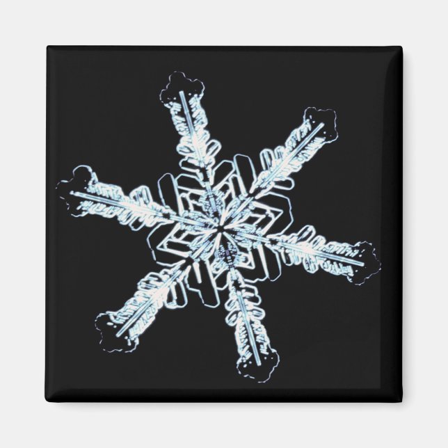 Aimant cristal de neige stellaire (Devant)