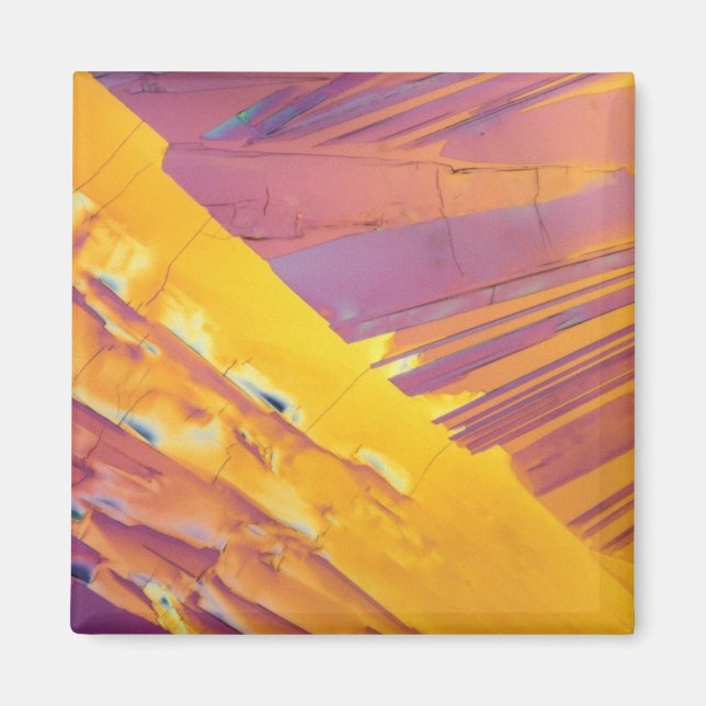 Aimant Cristaux acides oxaliques (Devant)