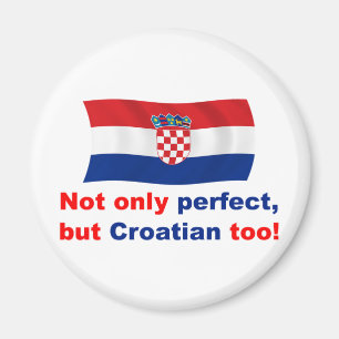 Aimant Croate parfait