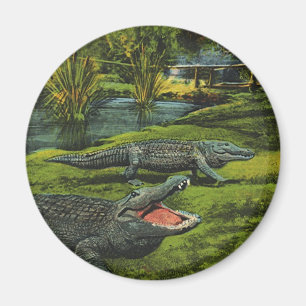 Aimant Crocodiles vintages, Reptiles Marine Life Animaux