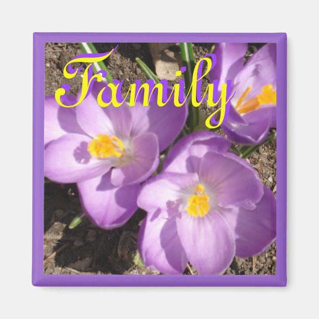 Aimant crocusfamilyaimnet (Devant)