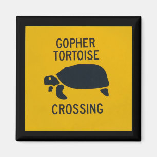 Aimant Croisement de tortue de Gopher