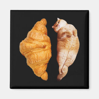 Aimant Croissant